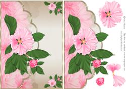 Apple Blossoms -envelope Card