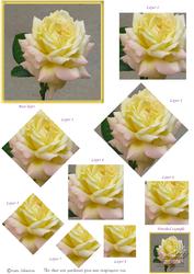 Yellow Rose - Pyramid with a Twist