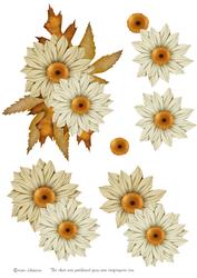 Marguerite