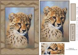 Cheetah Cub