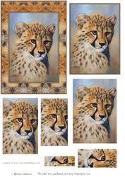 Cheetah Cub 2