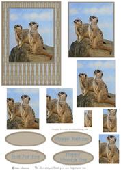 Meercat 2