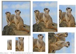 Meercats Pyramid