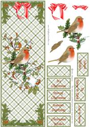 Christmas Robin - Large Dl Card
