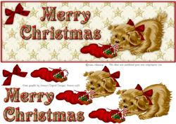Christmas Cutie 3 - Large Dl