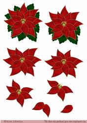 Christmas Poinsettia