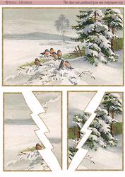 Robins in the Snow -wavy Edge