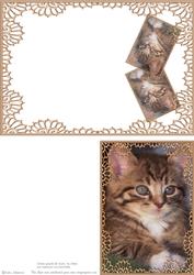 Kitty Cat - Print & Fold