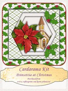 Poinsettia at Christmas