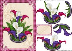 Some Lily's