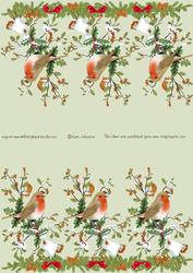 Robin - Candle Cover