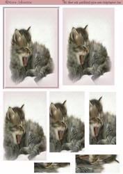 Sleepy Cat 2