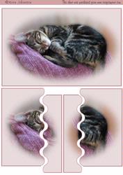 Cat Side Stacker 4