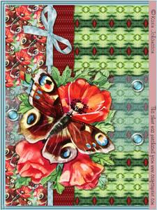 Peacock Butterfly Card Kit - 6 Pages