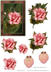 The Pink Rose