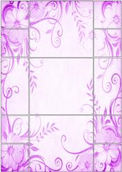 Shutter Card Background