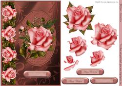 Pink Rose Whit Babysbreath