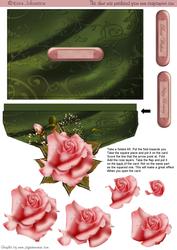 Pink Rose on a Envelope