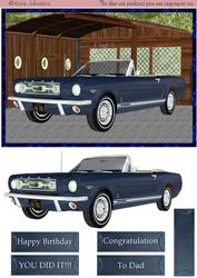 My Blue Thunderbird
