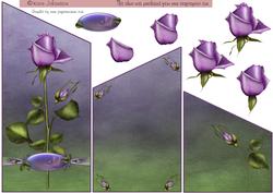 Lavender Rose