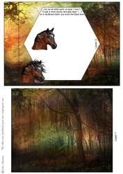 Sunset Horse Cardarama Part 2