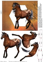 Sunset Horse Cardarama Part 1