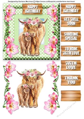 Its all about the Bull Card Topper
