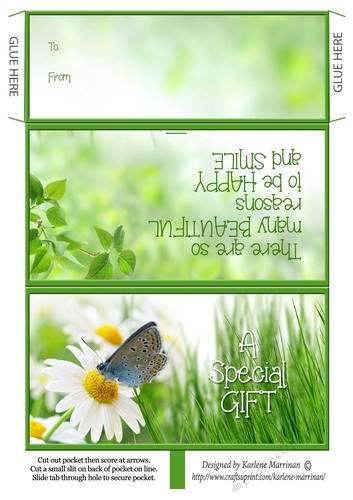 Butterfly Beauty -  Envelope Money/Voucher Wallet 