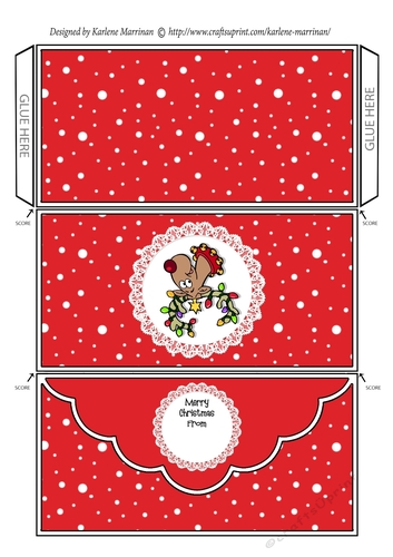 Holly Christmas Money/Voucher Pocket Wallet