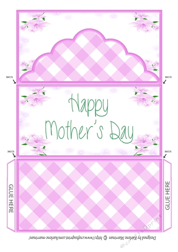 Pink Gingham Mothers Day Money/Voucher  Pocket