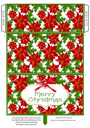 Poinsettia Gift Money/Voucher Pocket Envelope