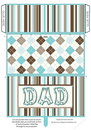 Check Box Dad Money/Voucher Wallet, Pocket