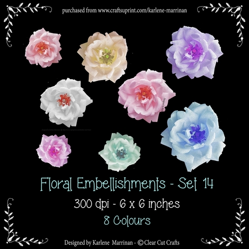 Digital Flower Pack 14