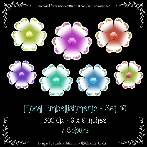 Digital Flower Pack 16
