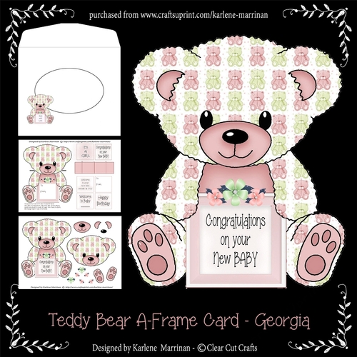 Georgia  - A Frame Floral Teddy Bear Card - Baby Girl