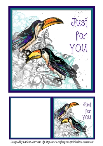 Bird Card Topper  & Gift Card