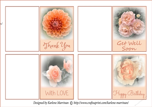 Floral Gift Cards - Apricot