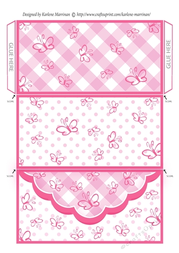 Butterfly Gingham Money, Voucher Wallet/Envelope/Pocket - Hot Pink