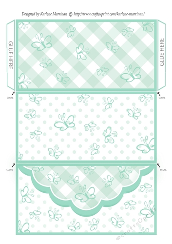 Butterfly Gingham Money, Voucher Wallet/Envelope/Pocket - Mint