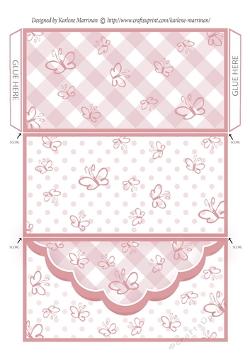 Butterfly Gingham Money, Voucher Wallet/Envelope/Pocket - Apricot