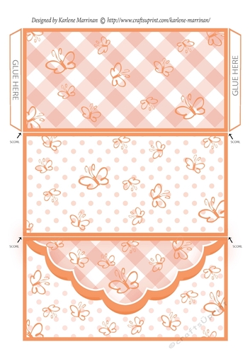 Butterfly Gingham Money, Voucher Wallet/Envelope/Pocket - Orange