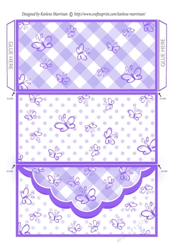 Butterfly Gingham Money, Voucher Wallet/Envelope/Pocket - Purple