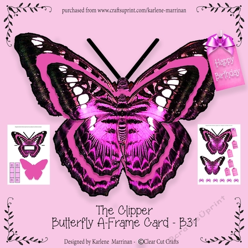 The Clipper Butterfly A Frame Card -B31 Pink