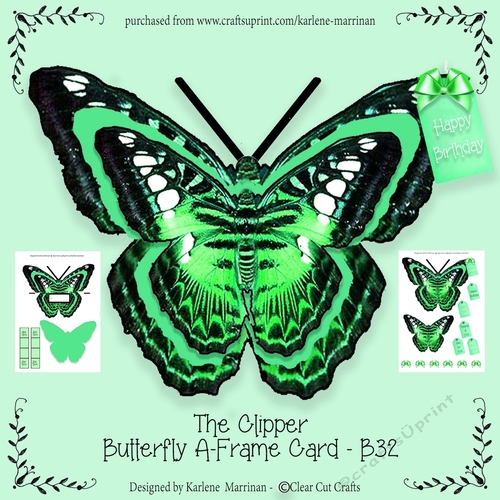 The Clipper Butterfly A Frame Card -B32 - Mint Green