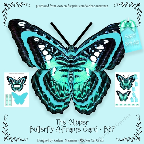 The Clipper Butterfly A Frame Card -B37 - Aqua
