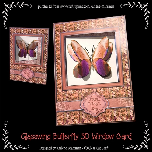 Glasswing - Apricot 3D Butterfly Window Card