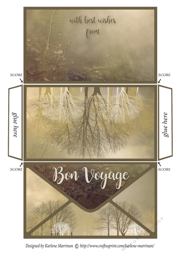 Bon Voyage Money/Gift/Voucher Wallet/Pocket/Envelope 