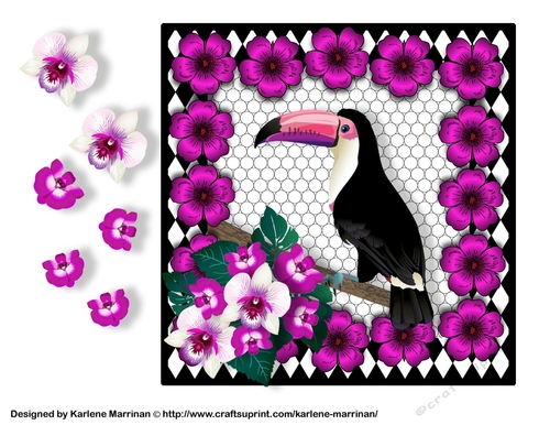 Any Occasion Blank Toucan Card Topper