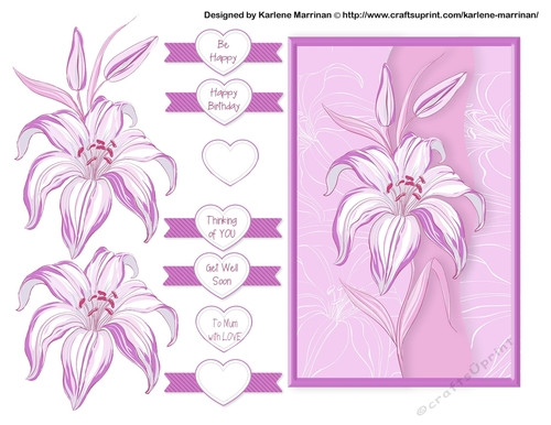  Beautiful Iris Card Topper - Pink
