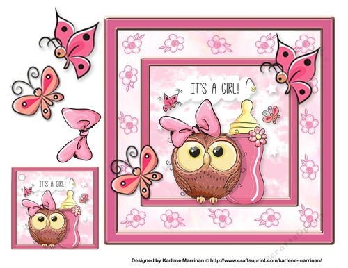 Baby Girl Owl Card Topper + Gift Tag